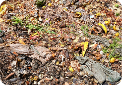 Mitigação de emissões de carbono